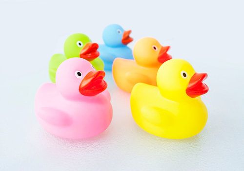 Rubber ducks in five different colours - Color Ducks