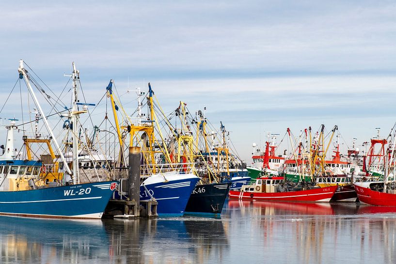 Blaue und rote Fischerboote im Hafen von Lauwersoog. von Hanneke Luit