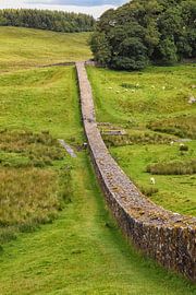 Der Hadrianswall durch die Felder von Northumberland  Nordost