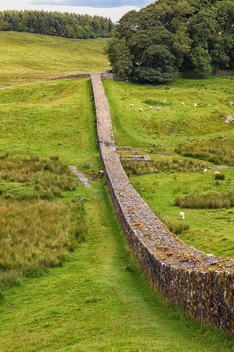 Le mur d'Hadrien à travers les champs du Northumberland  Nord-Est