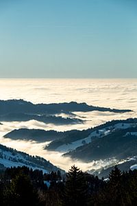 Forêt-Noire mystique avec brouillard élevé dans la vallée du Rhin