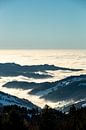 Mystical Black Forest with high fog in the Rhine Valley by Andreas Nägeli thumbnail