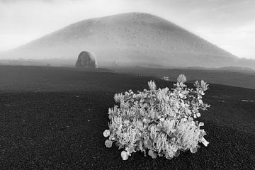 Zonsopgang op Lanzarote van Walter G. Allgöwer