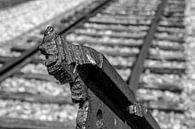 treinrails in Westerbork van Dustin Musch thumbnail