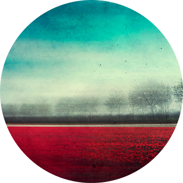Herinneringen - Tulpenveld in rood - Abstracte fotografie van Dirk Wüstenhagen