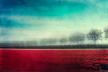 Herinneringen - Tulpenveld in rood - Abstracte fotografie
