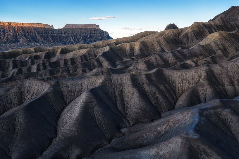 Die Butten von Martin Podt