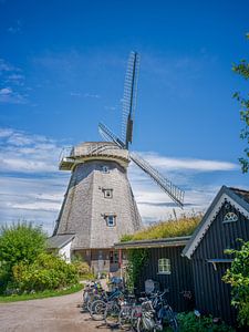 Windmühle Ahrenshoop