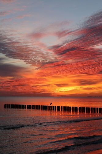 Lever de soleil sur la mer Baltique