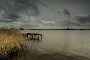 Toutes les feuilles sont brunes et le ciel est gris.... sur Marianne Dirix