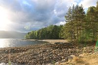 Wald Wasser und Berge - Landschaft in Norwegen