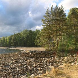 Wald Wasser und Berge - Landschaft in Norwegen von Emiel de Lange