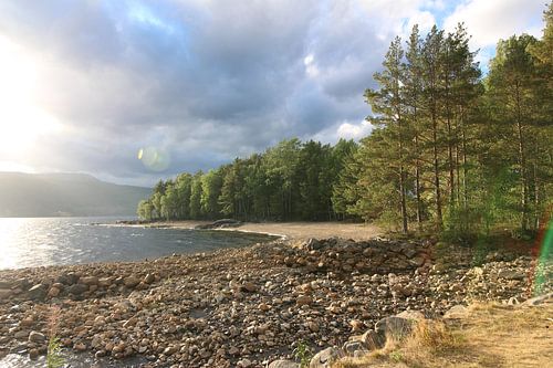 Wald Wasser und Berge - Landschaft in Norwegen