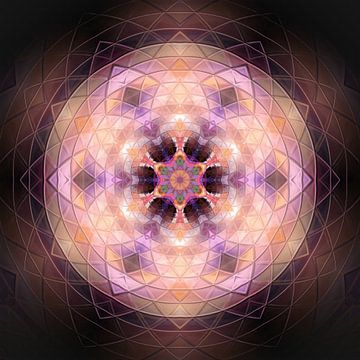 Roze Mandala van Sabine Wagner