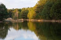 Reflection in water