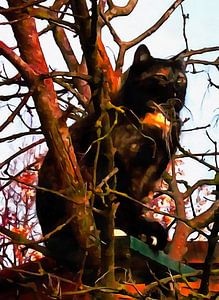 Der katzenartige Ausguck
