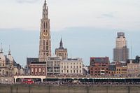 Ponton Antwerpen