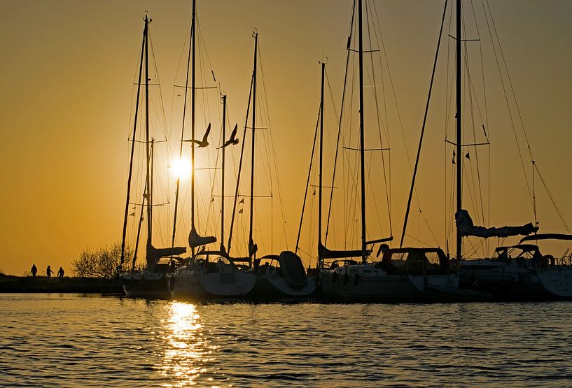 Zeilboten en meeuwen bij zonsondergang op het Grevelingenmeer van Judith Cool