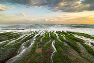 Laomei reef, North coast Taiwan. by Jos Pannekoek thumbnail