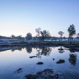 Gespiegeld in t water van 3,14 Photography