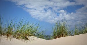 Panorama des dunes