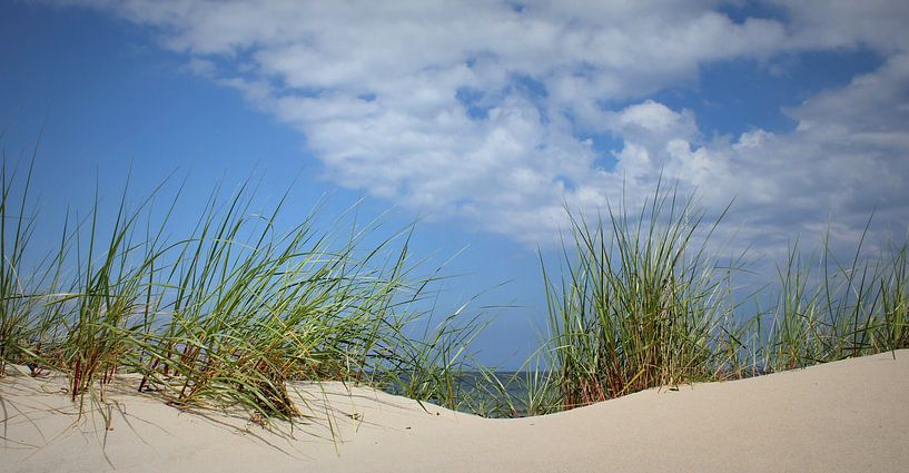 Panorama des dunes par Ostsee Bilder