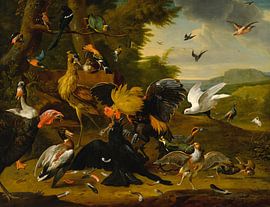 Äsops Fabel vom Raben, Werkstatt von Melchior de Hondecoeter