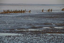 Moddergat, Waddenzee