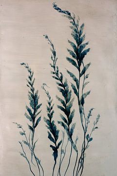 L'ombre des fougères