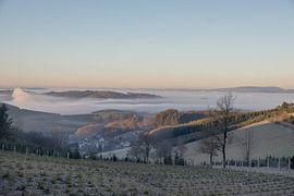 Nebel im Tal von Robin Feldmann