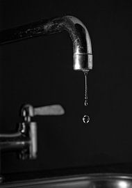 Drop by Evelien Brouwer