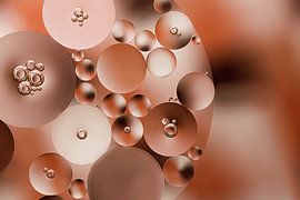 Circles in a circle, in shades of brown and champagne color by Marjolijn van den Berg