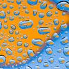 Visjes in waterdruppels van Wijnand Loven