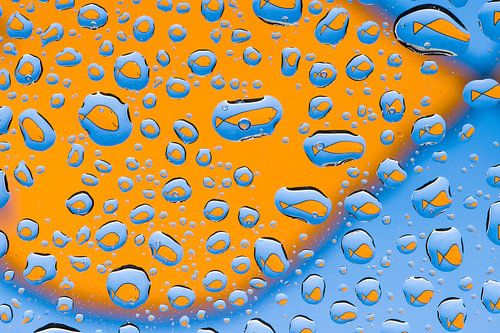 Visjes in waterdruppels