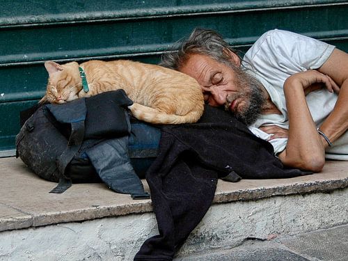 Sleeping cat with man
