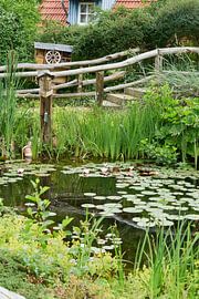 Pond with water lilies by Heiko Kueverling
