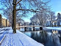 Winter in Rotterdam