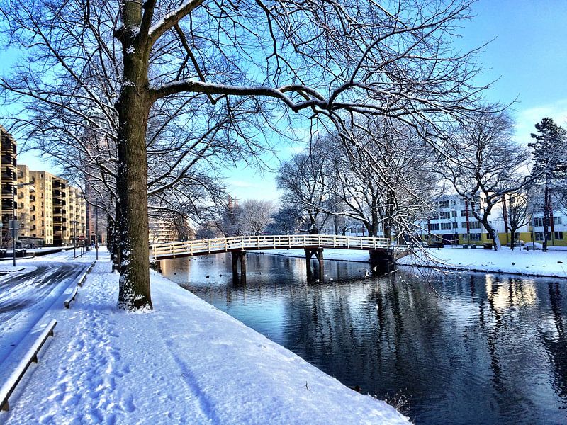 Winter in Rotterdam van Liesbeth Vollemans