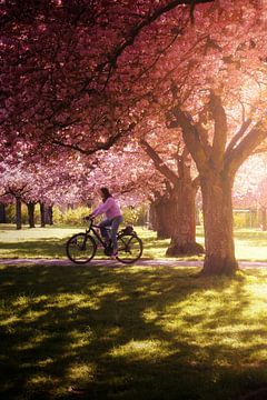 Ride into spring by Anajat Raissi