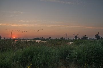 Polderlandschaft von Jasper Los