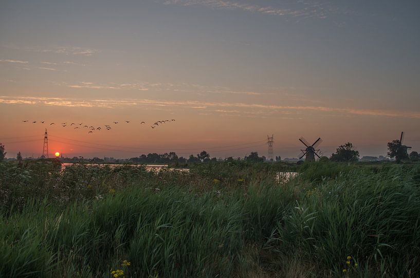 Polderlandschaft von Jasper Los
