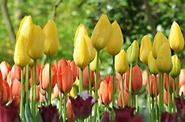 School trip von Lisa Pieters
