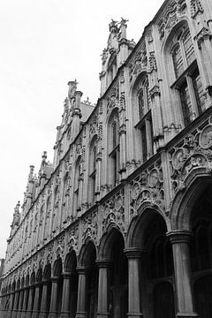 Stadhuis van Mechelen, Sierlijke Gevel, België van Imladris Images