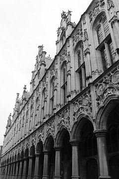 Stadhuis van Mechelen, Sierlijke Gevel, België van Imladris Images