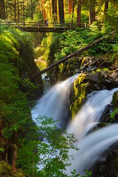 Sol Duc Falls, Bundesstaat Washington, USA von Henk Meijer Photography