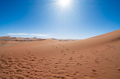 Footsteps in the red sand