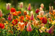 Kunterbunte Blumen von Renate Dohr Miniaturansicht