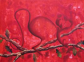 Aap van Anémone de Castro