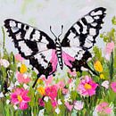 Schmetterling im Blumenfeld von Poster Art Shop Miniaturansicht