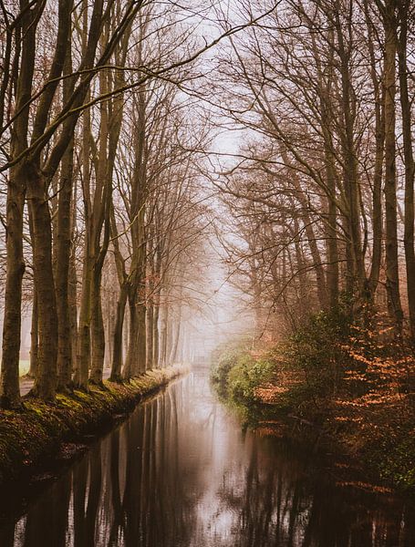 The Singel by Van Renselaar Fotografie